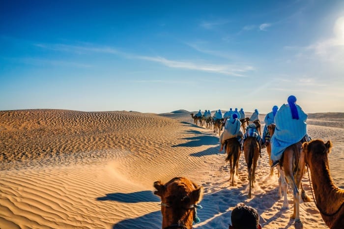 Sahara Camel Tour